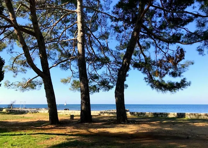 In Mit Privatem Grill By Interhome Apartamento *